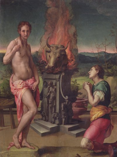 Galatea e Pigmalione, c.1529 da Agnolo Bronzino